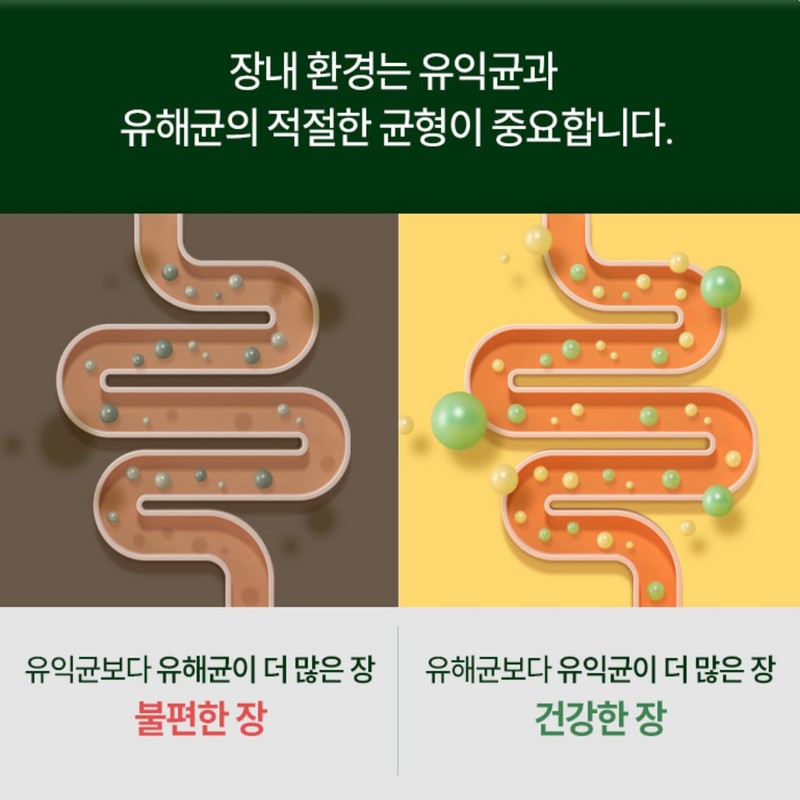 Bifidobacterium Colon Lactobacillus Bifidobacterium Longum Bifidobacterium Rhamnose Lactobacillus Approximately 2