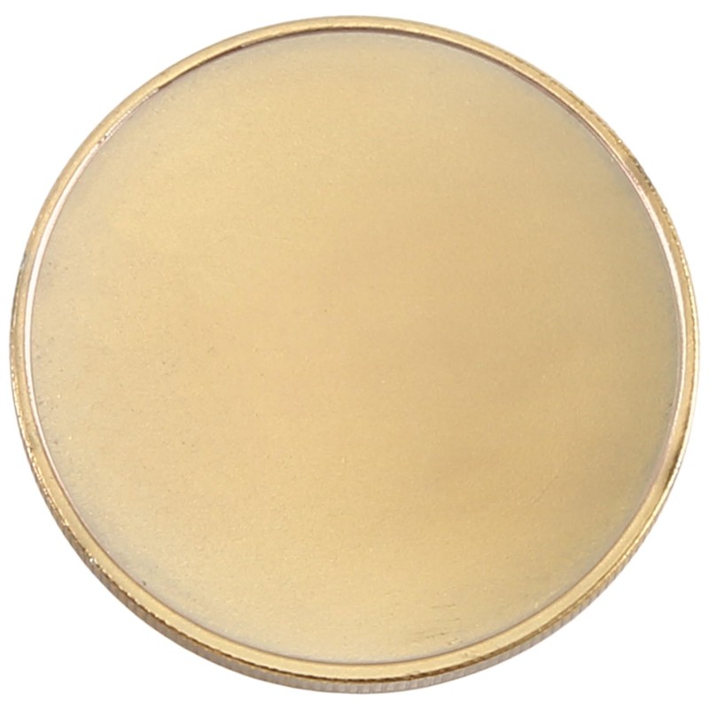NISHZHU Pack of 10 Blank Engraved Blanks Coins, 40 mm