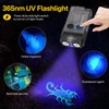 BORUIT V20 LED Small Powerful EDC Flashlight with 365nm UV