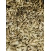 Roots Raw Whole Ginger Roots - 4Lb