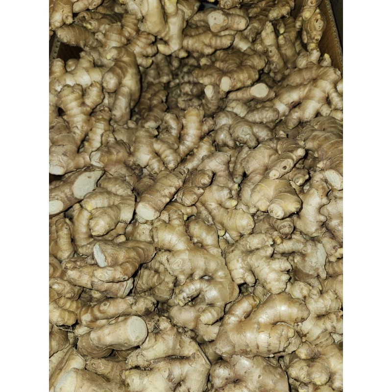 Roots Raw Whole Ginger Roots - 4Lb