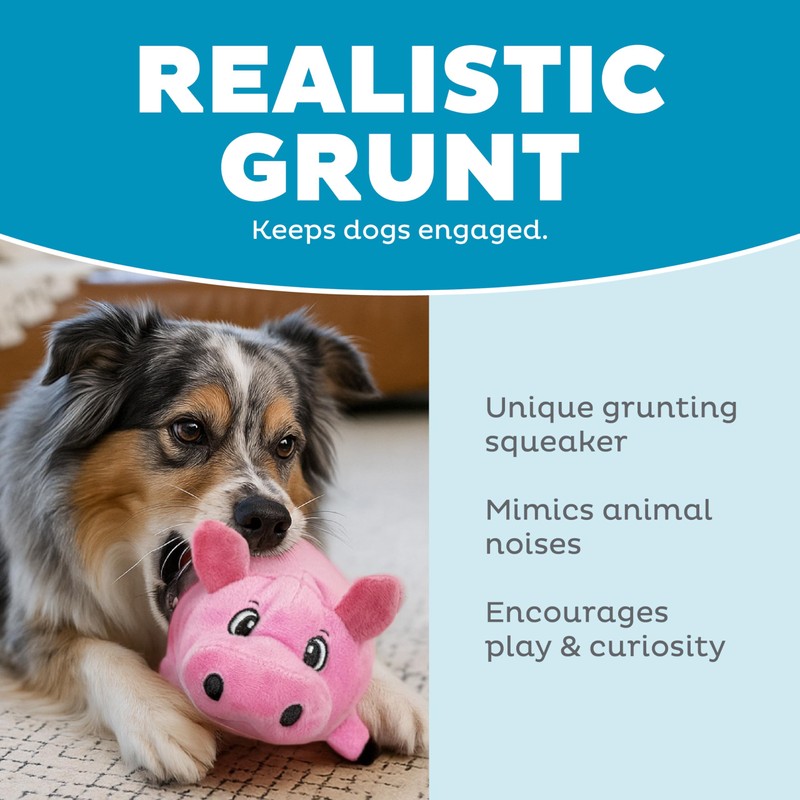 Outward Hound Fattiez Pig Plush Squeaky Dog Toy, Small