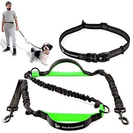 Pet Dreamland Running Dog Leash for Small to Medium Dogs - Walking Hiking Training - Extra Long Bungee Dog Lead - Reflective Leashes (Black & Green)