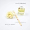 Aronica Mini Flower and Reed Diffuser 1.35oz/40 ml (Midnight Jasmine)