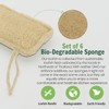 Natural Kitchen Sponge Organic Loofah Exfoliating Loofah Sponge Loofah Sponge