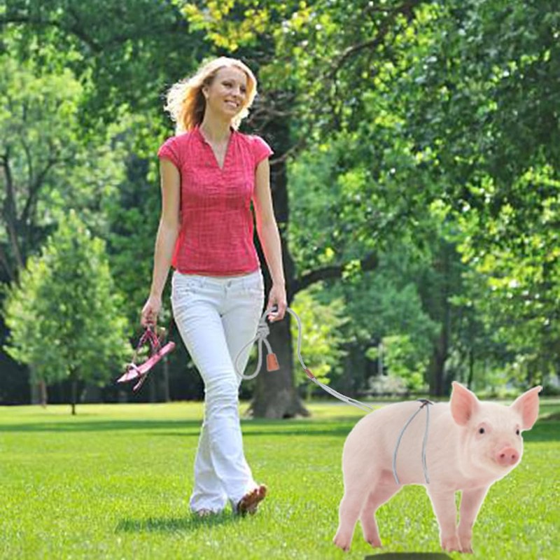 Pig Harness & Leash, Escape Prevention Adjustable Rope, All in