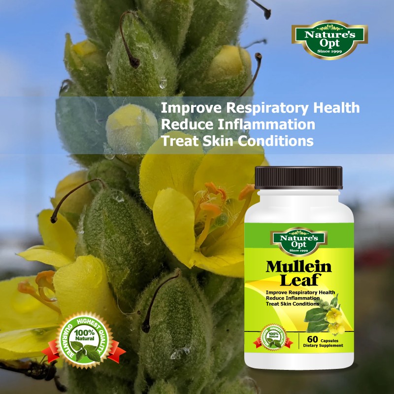 Nature's Opt Mullein Leaf, Used for Asthma, Bronchitis, Cough, Flu,