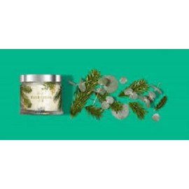 Partylite EVERGREEN FIR SIGNATURE 3-wick JAR CANDLE  BRAND NEW