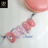 ✨Coral Nude Pink Handmade Nail Tips✨ - Long Round /