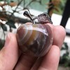 Neyisaa Ocean Agate Apple Decor, Healing Crystals Pocket Stone Fruit