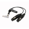 XLR Breakout Audio Input Cable Right Angle 10 pin to