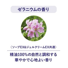 TBC PLACENTA Placenta Soap EX, 3.5 oz (100 g) (Formulated with Placenta Extract & Fermentation CPH, Moisturizing, Face Wash Soap)