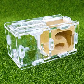 Small Ant Nest Farm Science Experiment Formicarium Insect Nest (Yellow)