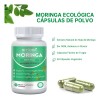 Un Superalimento Antioxidante Verde Natural Moringa 2pcs
