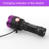 AHOME V30 UV 385-395nm Blacklight Flashlight [USB Rechargeable] Black Light