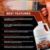 Rust Converter PRO by Birchwood Technologies – Thick Concentrate for