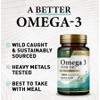 Health Nutrition Naturals Omega 3 Fish Oil Rapid Release Softgels