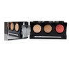 Tattoo Cover Up Makeup, Bruise Concealer, Waterproof, Smudge proof, 3