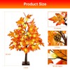 2 Pack 24 Inch Fall Decor Maple Tree - 2FT
