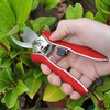 Darlic Mini Bypass Pruner