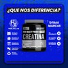 Holix LAB - Creatina Monohidratada - 500 grs, rinde hasta
