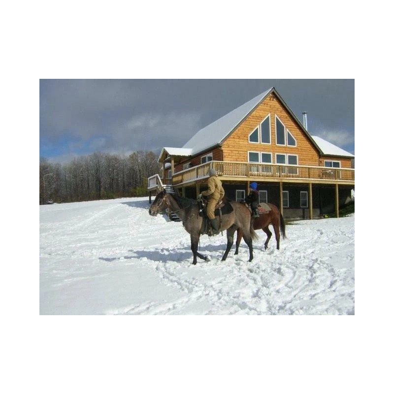 Classic Log Homes, Inc. 2" x 8" White Pine, Tongue