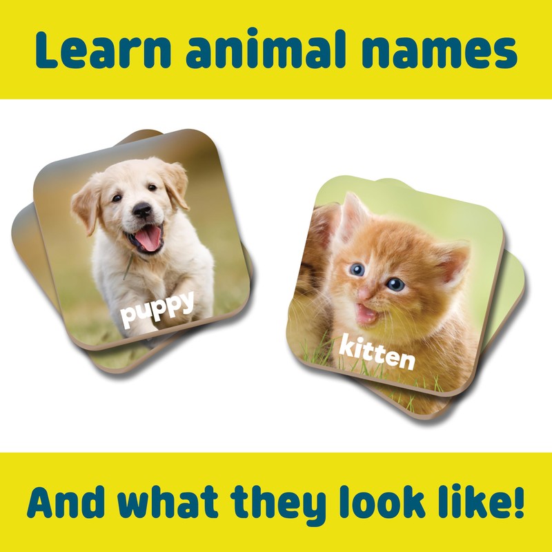 Chuckle & Roar Baby Animals Matching Memory Game for Kids