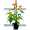 Artificial Flower Living Room Decorative Flowers Plastic Flowers Simulation Potted