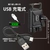 Ohm Electric LH-CW60A5 08-1524 Handy Light, Outdoor Flashlight, LED Light,