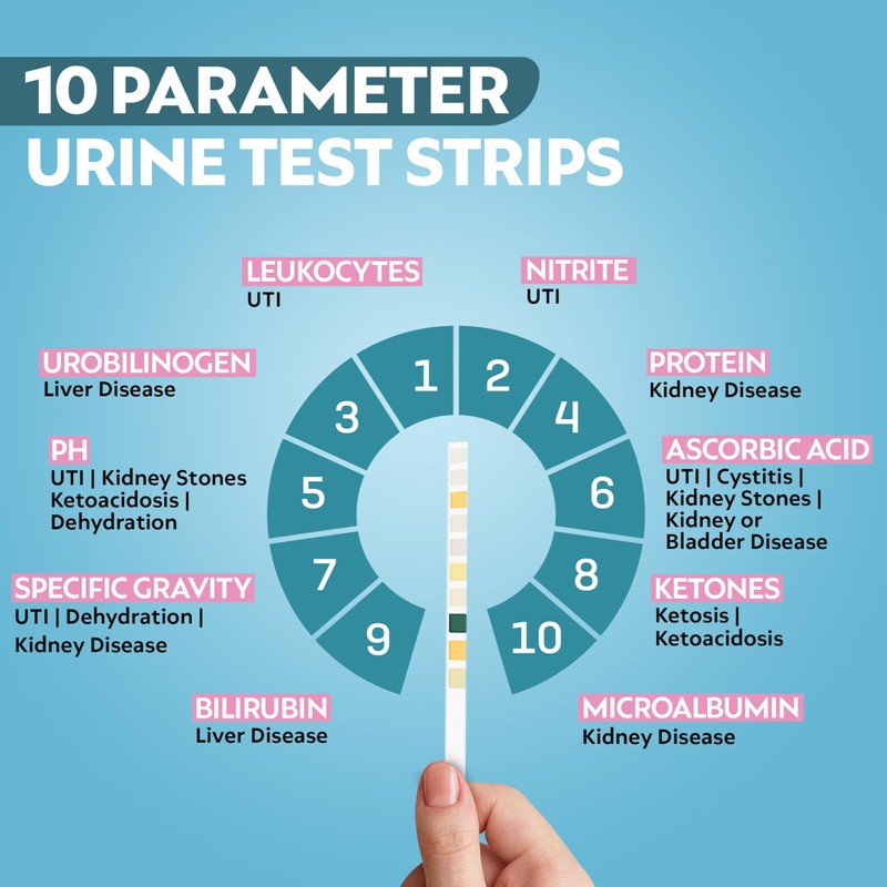 One Step 10A Urine Test Strips, 100 Strip Tub, 10