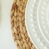 Benson Mills Water Hyacinth Braided Round Placemat Set of 4