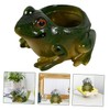 Gatuida Frog Shaped Ceramic Flowerpot Cute Desktop Planter for Succulents