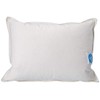 White Down Travel Pillow