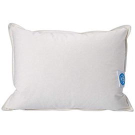 White Down Travel Pillow
