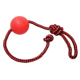 Rope Ball Chew Toys for Dogs Cats Pets, Indoor Outdoor Interactive Dog Rope Toys, Suitable for Pets Dental and Mental Health, Fun and Excercise, Ball 5cm, Rope 32cm