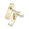 Infinity Decor Set of Polished Brass Victorian Scroll Lever Lock