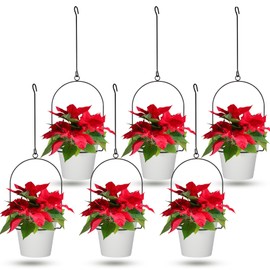 Hushee 6 Packs Metal Hanging Planters for Outdoor Indoor Plants Plant Hanger with 6.3'' Plastic Pots Hanging Planter Basket for Garden Home Porch Decor (White)