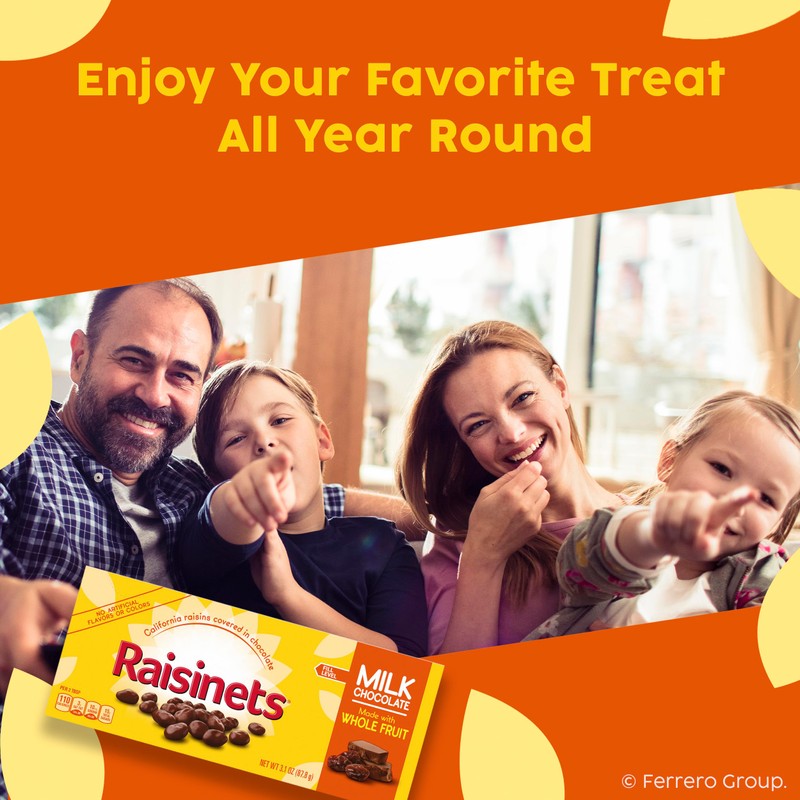 Raisinets, Milk Chocolate Covered California Raisins, Movie Theater Candy Box,