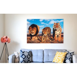 Lion Leopard and Tiger Animal Canvas Prints Modern Wall Art Nature Pictures African Wildlife Artwork for Home Office30 x 20cm (12 x 8 inches)