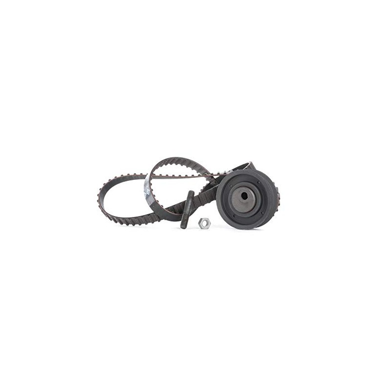 INA 530 0162 10 Timing Belt Kit
