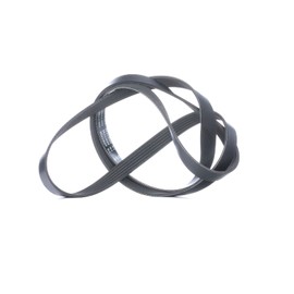 INA FB 6PK1735 Distribution Straps