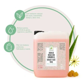 Tónico Agua De Rosas Con Hamamelis Benjui Aloe Vera 20L Productos Mart Mexico