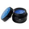 SHINYGEL Professional Shiny Gel, Blue (Color Gel for Art), 0.1