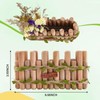 Swirge Natural Wood Hamster Spray Holder, Hamster Flower Forage Holder