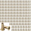 AOKLIT 200 Pack 1/4"-20 Multi-Grip Rivet Nut, Zinc-Plated Steel Rivet