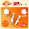 Disposable Cairo Warm Heating Sheet (for wrists and ankles), 5