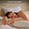 BHZ Goose Down Feather Pillows Standard Size Set of 2