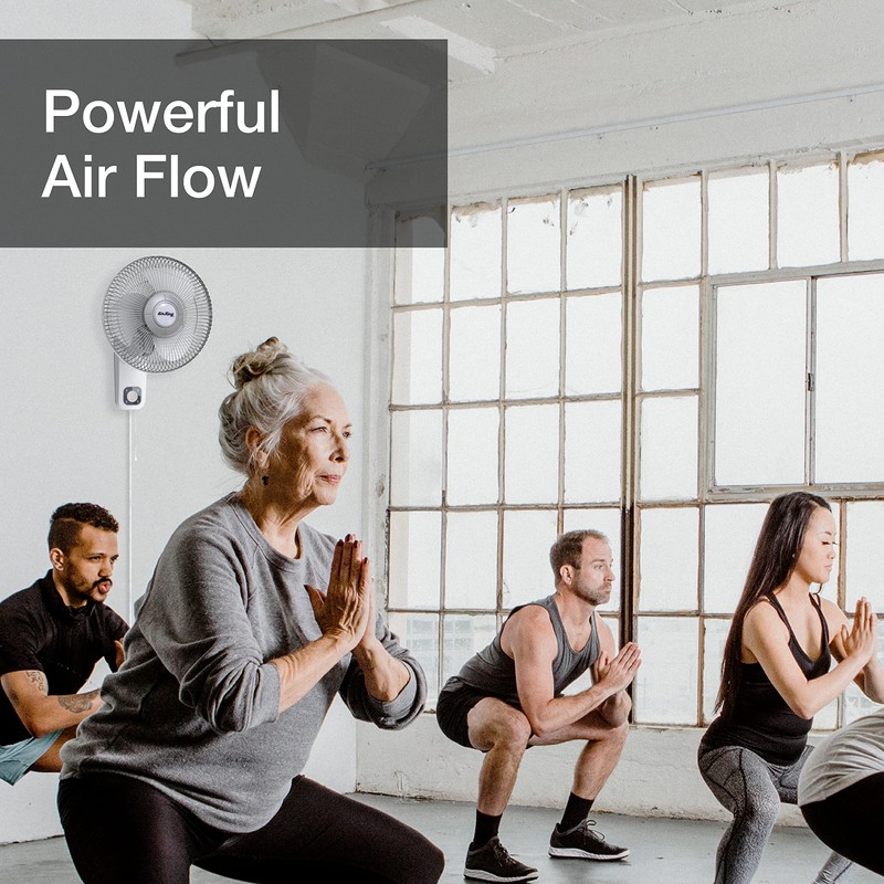 Air King 9012 Commercial Grade Oscillating Wall Mount Fan, 12-Inch