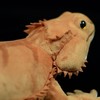 Tiny Heart Lizard Plush Stuffed Toy Realistic Lizard Lizard Plush