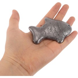 NUOBESTY Pescado de Hierro para Cocinar Seguro y Multiusos Suplemento Natural de Hierro Adecuado para Veganos y Uso Diario Varios estilos